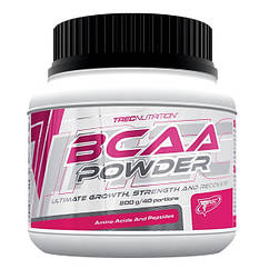 Бца BCAA Powder (400 г)