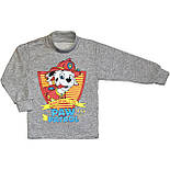 Водолазка з начосом Щенячий патруль 07.10.06, фото 2