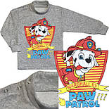 Водолазка з начосом Щенячий патруль 07.10.06, фото 5