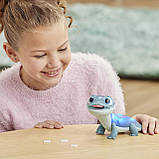 Інтерактивна саламандра Бруні Снігова закуска Frozen Fire Spirit's Snowy Snack Salamander, фото 8