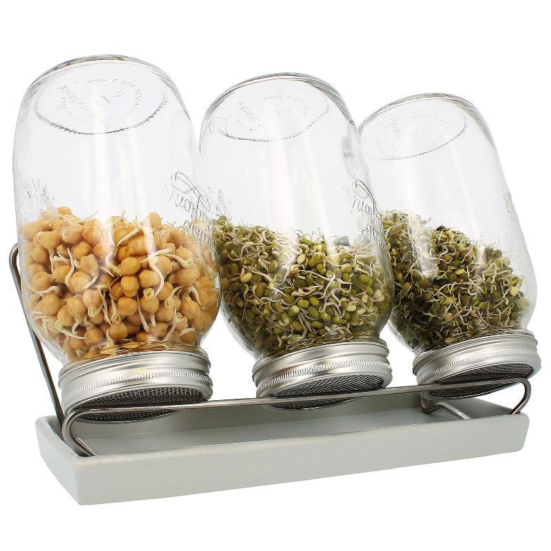 Набор для проращивания семян Eschenfelder: 3 банки на 1500 мл, белый ...