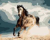 Картина по номерам "Конь в яблоках"