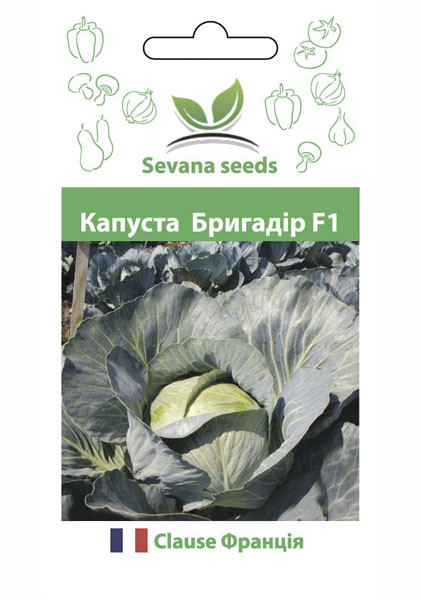 Насіння капусти Бригадир F1 20 шт. Clause, фото 1