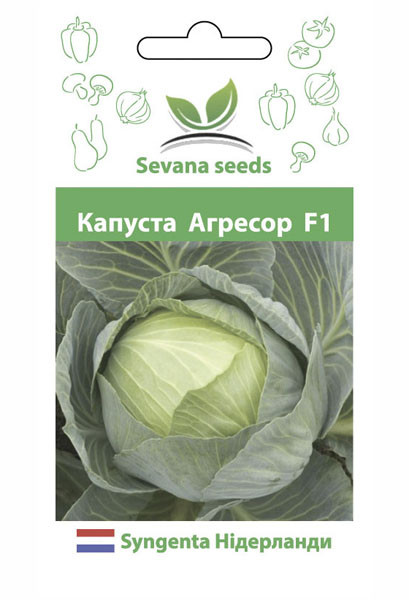 Насіння капусти Агресор F1 20 шт. Syngenta, фото 1