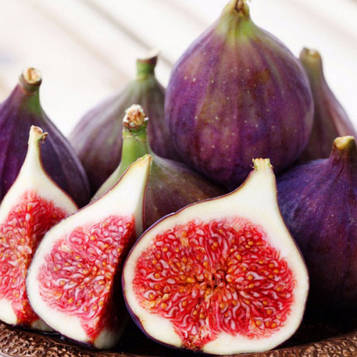 Π‘Π°Π΄ΠΆΠ°Π½ΡΡ ΡΠ½ΠΆΠΈΡΡ ΠΠ΅Π°ΠΏΠΎΠ»ΡΡΠ°Π½ΡΡΠΊΠΎΠ³ΠΎ (Neapolitan) - ΠΏΡΠ·Π½ΡΠΉ, ΡΠΎΠ»ΠΎΠ΄ΠΊΠΈΠΉ, ΡΡΠΎΠΆΠ°ΠΉΠ½ΠΈΠΉ.