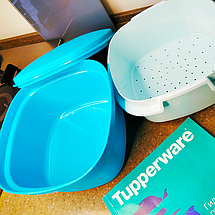 Мульти пароварка Термосервірователь Tupperware для швидкого приготування, фото 3