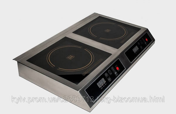 Плита індукційна EWT INOX MEMO2 професійна