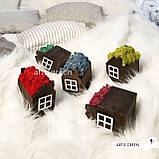 Корпоративні подарунки. Подарунок на свято. Будиночок зі стабілізованим мохом, рожевий, фото 6