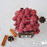 Корпоративні подарунки. Подарунок на свято. Будиночок зі стабілізованим мохом, рожевий, фото 5