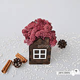 Корпоративні подарунки. Подарунок на свято. Будиночок зі стабілізованим мохом, рожевий, фото 3