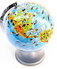 Глобус настільний зоологічний подарунковий Glowala 220 мм, фото 2