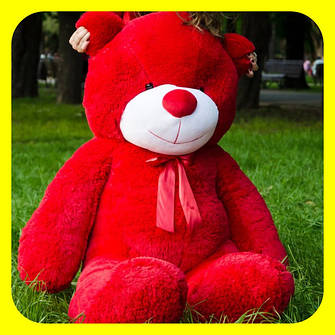 ВЕДМЕДИК РАФАЄЛЬ