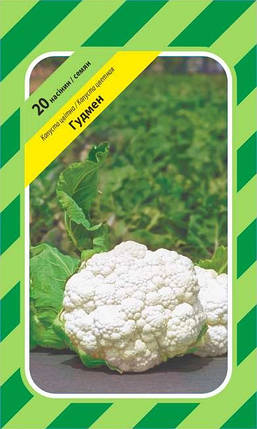 Насіння цвітної капусти Гудмен, 20 насінин — середньо-рання (75 днів), Bejo, фото 2
