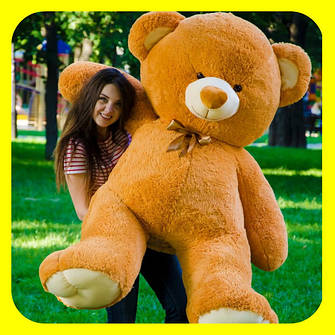 ВЕДМЕДИК ТОММІ