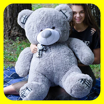 ВЕДМЕДИК БАРНІ