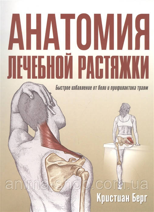 Анатомия лечебной растяжки. Быстрое избавление от боли и профилактика травм. Берг К. - фото 1 - id-p1322908917