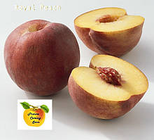 Персик Роял Прайд. Підщепа евріка