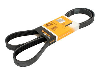 Ремінь генератора VW Crafter 2.0TDI 11-16/Opel Corsa D 1.7CDTI 06-11/Ford Fiesta 1.8DI 00-03 6 PK 1613 CONTITECH