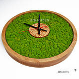 Настінний годинники зі стабілізованим мохом. Еко-годинник МОХ круглий, діаметр 40 см. Ч1, фото 4