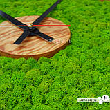 Настінний годинники зі стабілізованим мохом. Еко-годинник МОХ круглий, діаметр 40 см. Ч1, фото 6