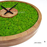 Настінний годинники зі стабілізованим мохом. Еко-годинник МОХ круглий, діаметр 40 см. Ч1, фото 5
