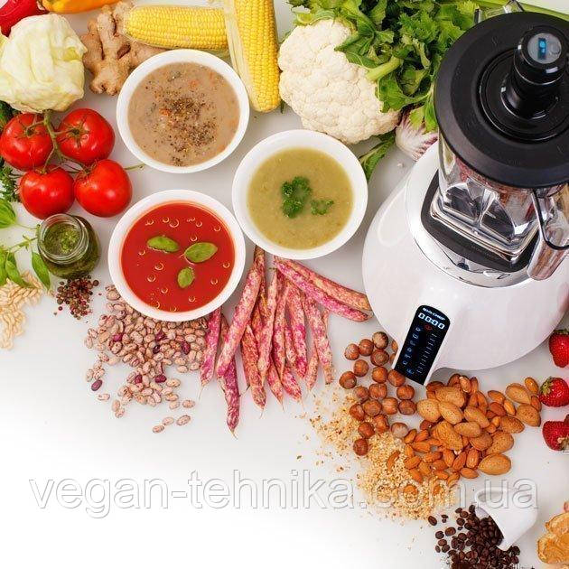 Профессиональный блендер BioChef Living Food Blender с датчиком температуры Профессиональный блендер BioChef Living Food Blender с датчиком температуры
