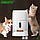 Годівниця для кішок і собак автоматична CHINAPST FD-BL3, 6л. WiFi, Біла, фото 6