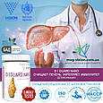 Ді Ай Гард нано Візіон (Di Guard nano VISION) — захист печінки, детоксикація організму, фото 4