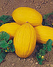 Семена Дыня Ругосо ди Косенца Италия 20 сем, фото 7
