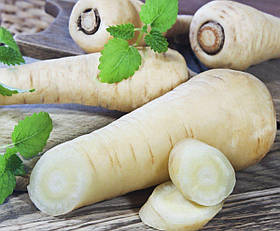 Петрушка коренева Бенефіс (Фасовка: 1 г) ТМ Професійне насіння