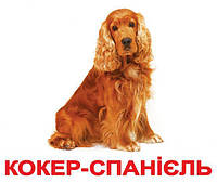Карточки большие украинские с фактами "Породи собак" 20 карт.,лам. в пак. 16,5*19,5см, ТМ Вундеркинд