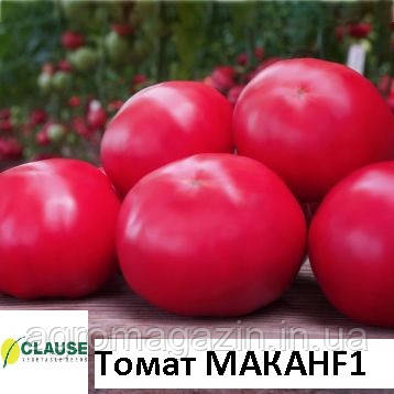 Томати МАКАН F1 (1000нас.) CLAUSE