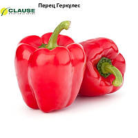 Перець Геркулес F1 (50гр) Clause