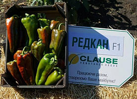 Перець РЕДКАН F1 (250 сем) CLAUSE 1000