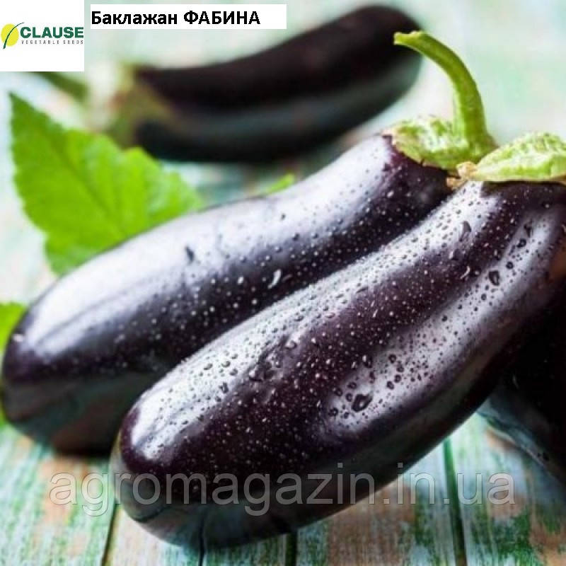 Баклажан Фабіна F1 (50гр.) Clause