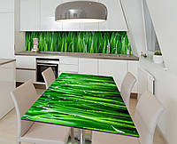 Наклейка 3Д виниловая на стол Zatarga «Роса на траве» 600х1200 мм для домов, квартир, столов, кофейн, кафе