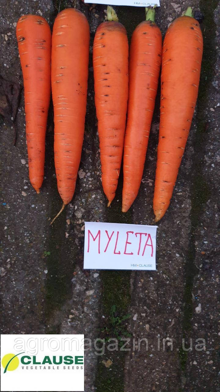 Морква Мулета F1 1,6-2,0 (100 000сем.) Clause