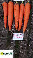 Морковь Мулета F1 1,4-1,6 (100 000сем.) Clause