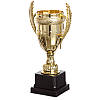 Кубок спортивний з ручками SP-Sport JZ0011A Висота 37см, фото 4
