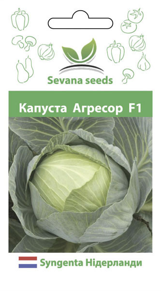 Насіння капусти Агрессор F1 50 шт. Syngenta, фото 1