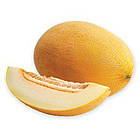 Диня Амалік F1 (Армонія) Італія 8 шт, фото 2