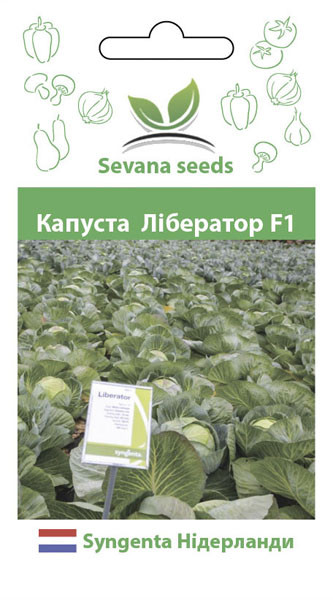 Насіння капусти Либератор F1 50 шт. Syngenta