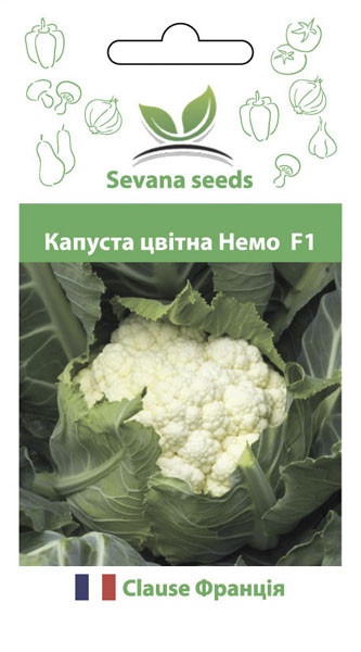 Насіння цвітної капусти Немо F1 20 шт. Clause, фото 1