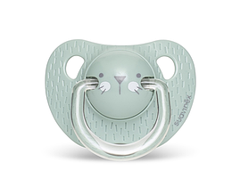 Пустушка анатомічна, +18 місяців, "Hygge:Затишні історії"/бірюзова