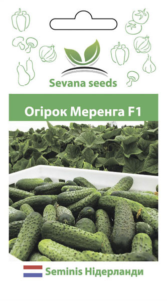 Насіння огірків Меренга F1 10 шт самозапильний Seminis, фото 1