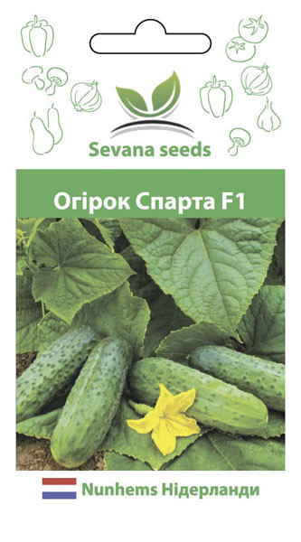 Насіння огірка Спарта F1 50 шт. бджолозапильний Nunhems, фото 1