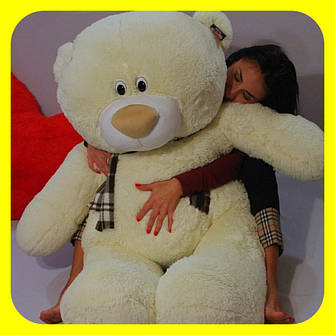 ВЕДМЕДИК ТЕДДІ