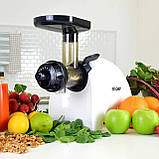 Двошнековий соковитискач BioChef Gemini Twin Gear Cold Press Juicer, фото 6