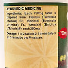 Трифала (Triphala Tablets DS, SDM), 100 таблеток по 750 мг — покращує обмін речовин, фото 4