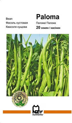 Насіння квасолі Серенгеті, 20 шт — рання (55 днів), спаржева Syngenta, фото 2